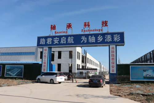 全力壯(zhuang)大發展新動能 打(dǎ)造科技創新軸承(chéng)産業鍊